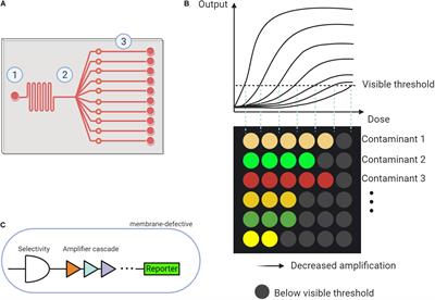 Microfluidic Based Whole-Cell Biosensors for Simultaneously On-Site Monitoring of Multiple Environmental Contaminants